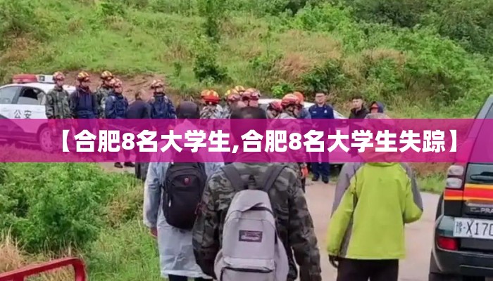 【合肥8名大学生,合肥8名大学生失踪】