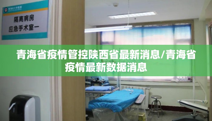 青海省疫情管控陕西省最新消息/青海省疫情最新数据消息
