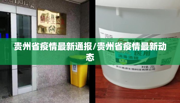 贵州省疫情最新通报/贵州省疫情最新动态