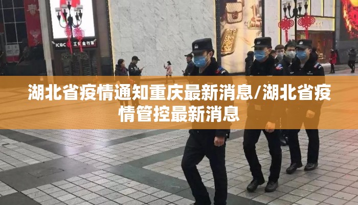 湖北省疫情通知重庆最新消息/湖北省疫情管控最新消息