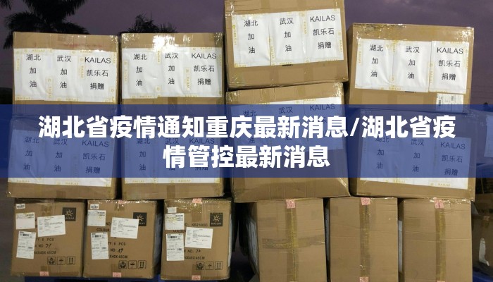 湖北省疫情通知重庆最新消息/湖北省疫情管控最新消息