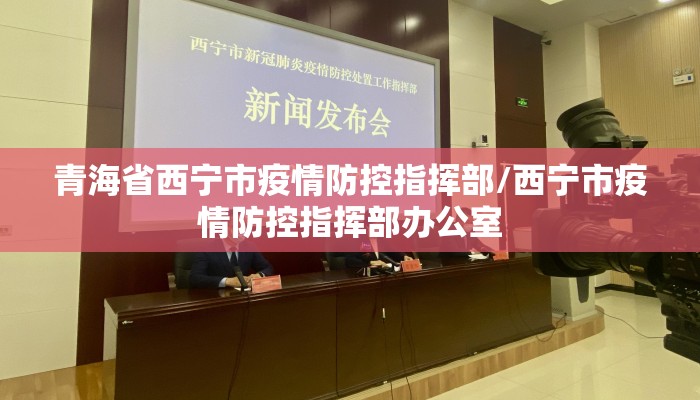 青海省西宁市疫情防控指挥部/西宁市疫情防控指挥部办公室