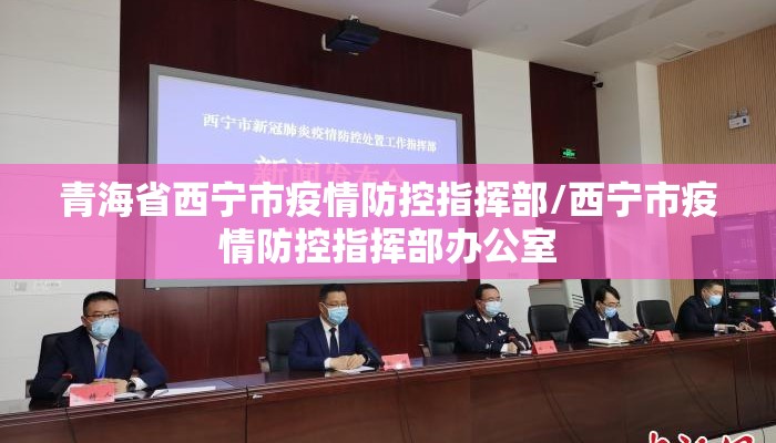 青海省西宁市疫情防控指挥部/西宁市疫情防控指挥部办公室