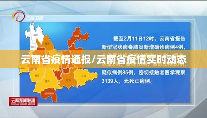 云南省疫情通报/云南省疫情实时动态