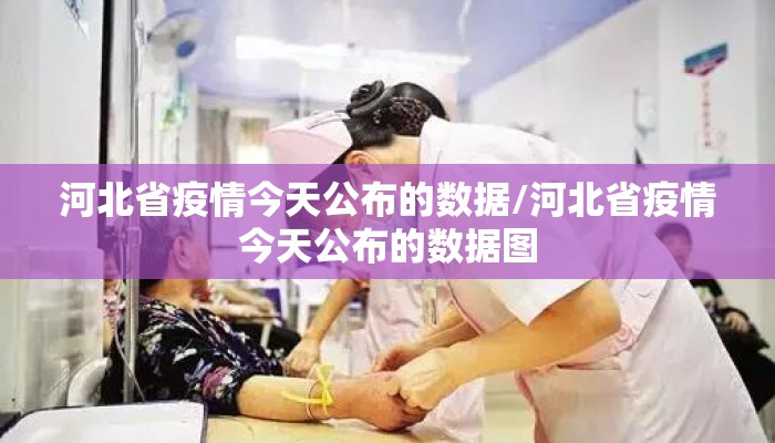 河北省疫情今天公布的数据/河北省疫情今天公布的数据图