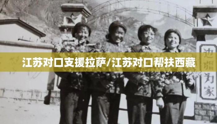 江苏对口支援拉萨/江苏对口帮扶西藏