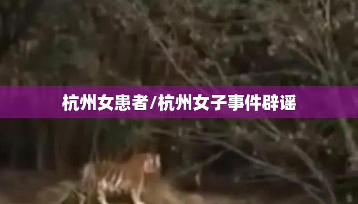 杭州女患者/杭州女子事件辟谣