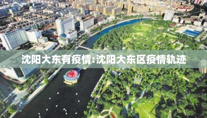 沈阳大东有疫情:沈阳大东区疫情轨迹