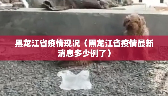 黑龙江省疫情现况（黑龙江省疫情最新消息多少例了）
