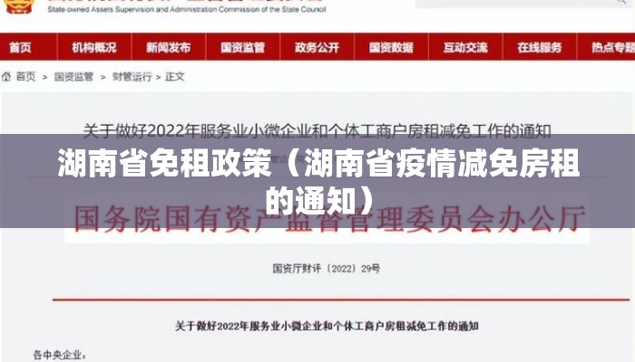湖南省免租政策（湖南省疫情减免房租的通知）