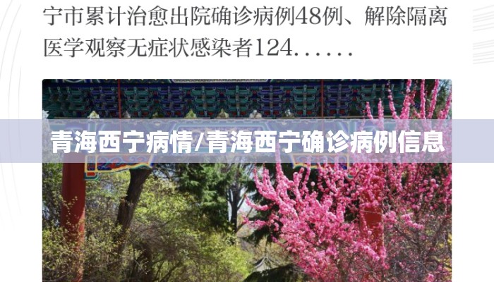 青海西宁病情/青海西宁确诊病例信息