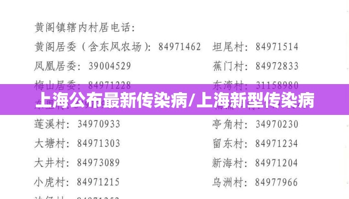 上海公布最新传染病/上海新型传染病