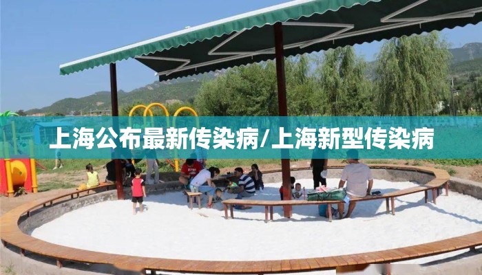 上海公布最新传染病/上海新型传染病
