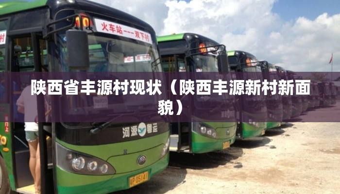 陕西省丰源村现状（陕西丰源新村新面貌）