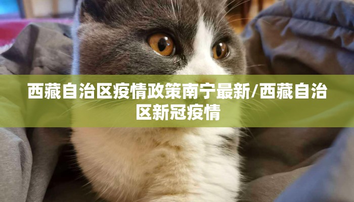 西藏自治区疫情政策南宁最新/西藏自治区新冠疫情