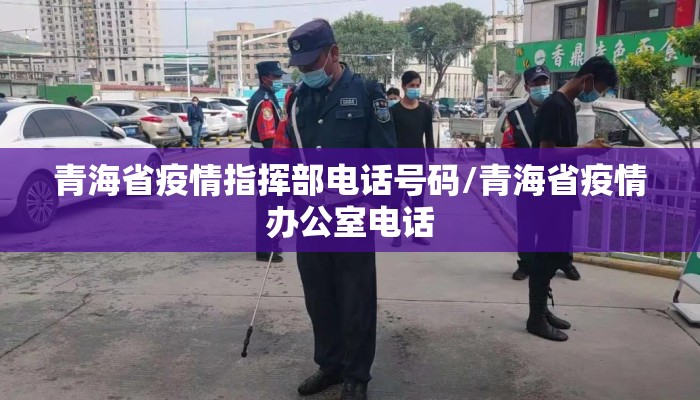 青海省疫情指挥部电话号码/青海省疫情办公室电话