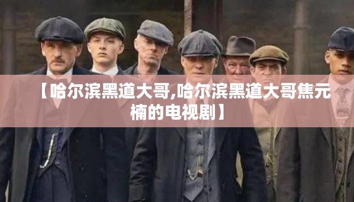 【哈尔滨黑道大哥,哈尔滨黑道大哥焦元楠的电视剧】
