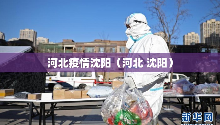 河北疫情沈阳（河北 沈阳）