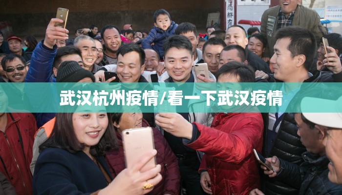 武汉杭州疫情/看一下武汉疫情