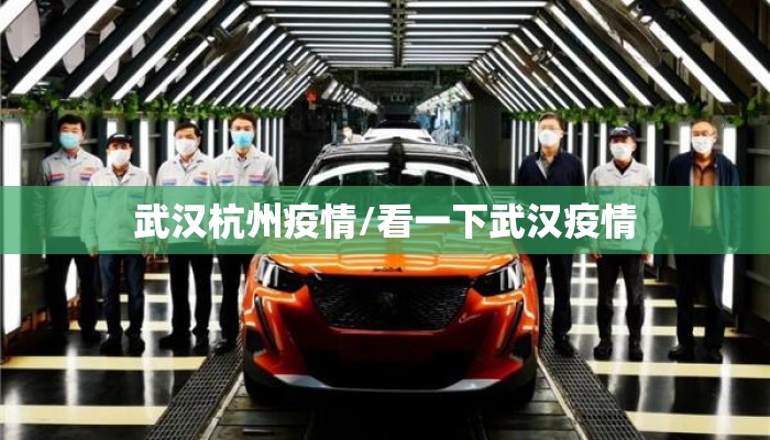 武汉杭州疫情/看一下武汉疫情