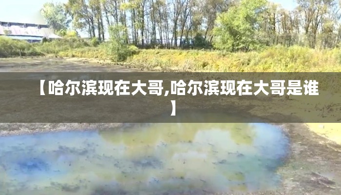 【哈尔滨现在大哥,哈尔滨现在大哥是谁】