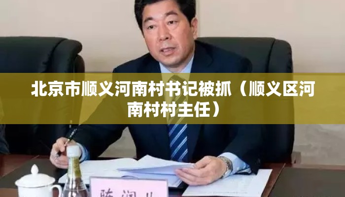 北京市顺义河南村书记被抓（顺义区河南村村主任）