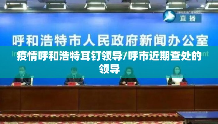疫情呼和浩特耳钉领导/呼市近期查处的领导
