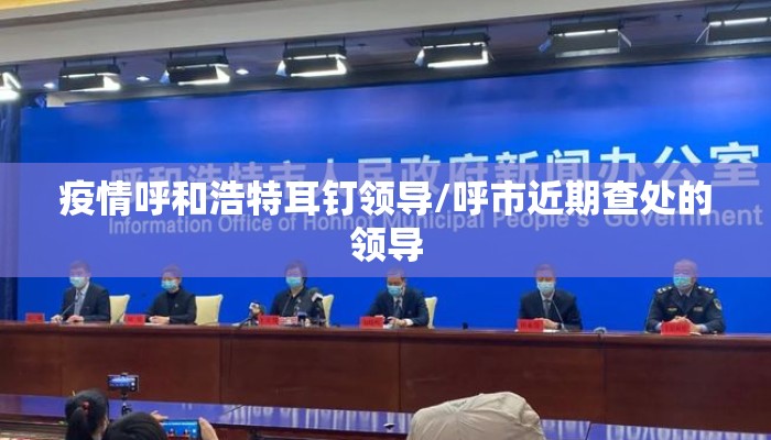 疫情呼和浩特耳钉领导/呼市近期查处的领导