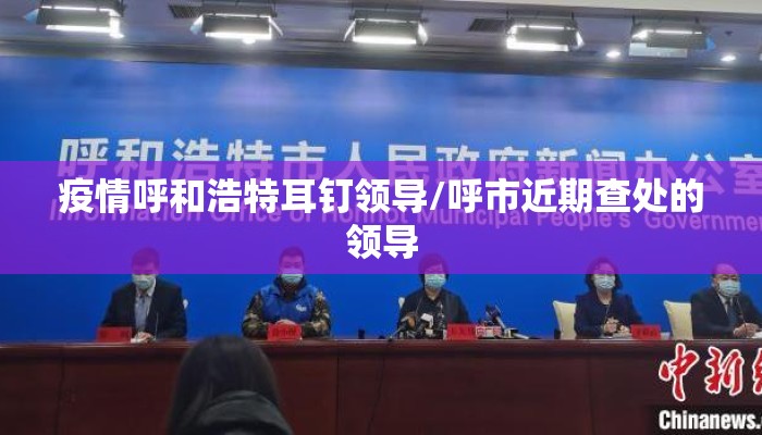 疫情呼和浩特耳钉领导/呼市近期查处的领导