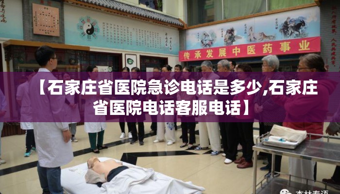 【石家庄省医院急诊电话是多少,石家庄省医院电话客服电话】
