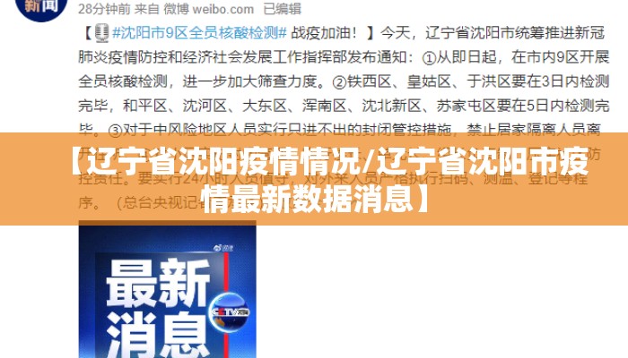 【辽宁省沈阳疫情情况/辽宁省沈阳市疫情最新数据消息】