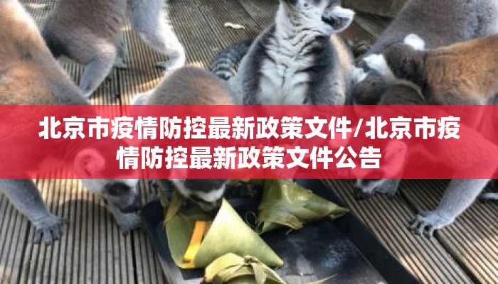 北京市疫情防控最新政策文件/北京市疫情防控最新政策文件公告