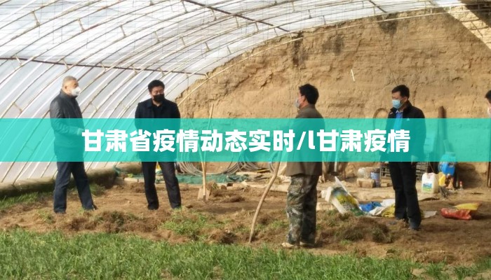 甘肃省疫情动态实时/l甘肃疫情 甘肃省疫情动态实时/l甘肃疫情