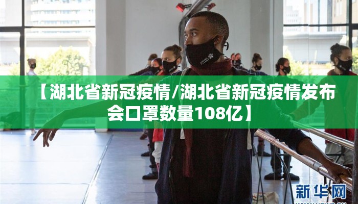 【湖北省新冠疫情/湖北省新冠疫情发布会口罩数量108亿】
