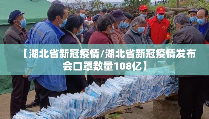 【湖北省新冠疫情/湖北省新冠疫情发布会口罩数量108亿】