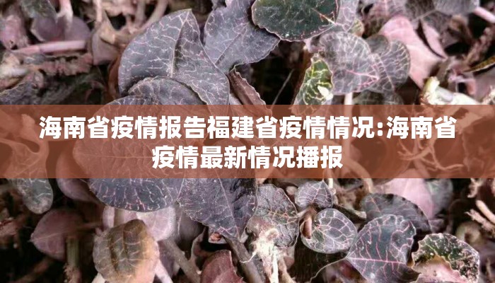 海南省疫情报告福建省疫情情况:海南省疫情最新情况播报