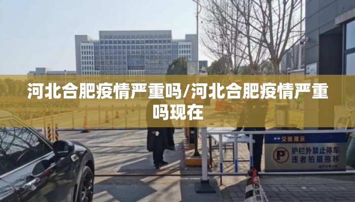 河北合肥疫情严重吗/河北合肥疫情严重吗现在