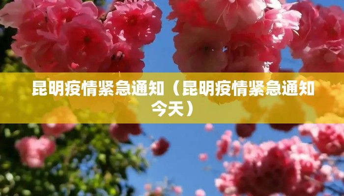 昆明疫情紧急通知（昆明疫情紧急通知今天）