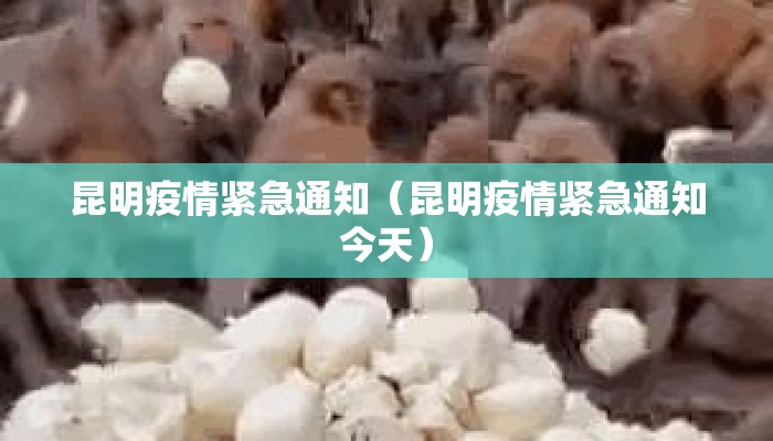昆明疫情紧急通知（昆明疫情紧急通知今天）