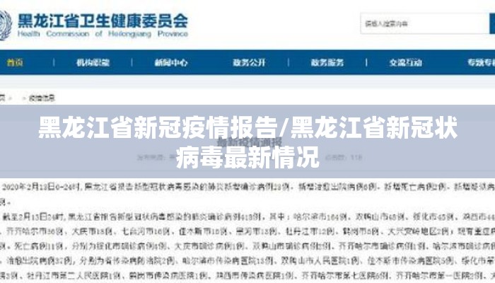 黑龙江省新冠疫情报告/黑龙江省新冠状病毒最新情况