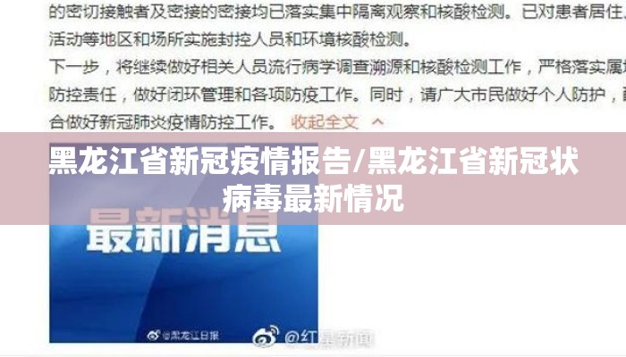 黑龙江省新冠疫情报告/黑龙江省新冠状病毒最新情况
