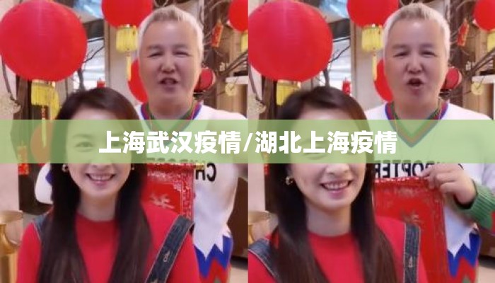 上海武汉疫情/湖北上海疫情