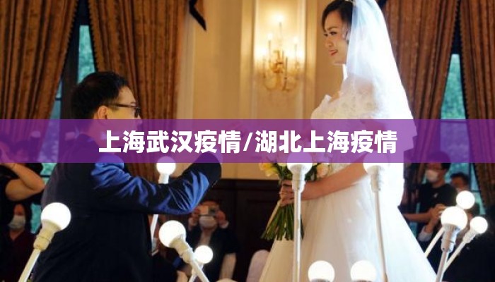 上海武汉疫情/湖北上海疫情