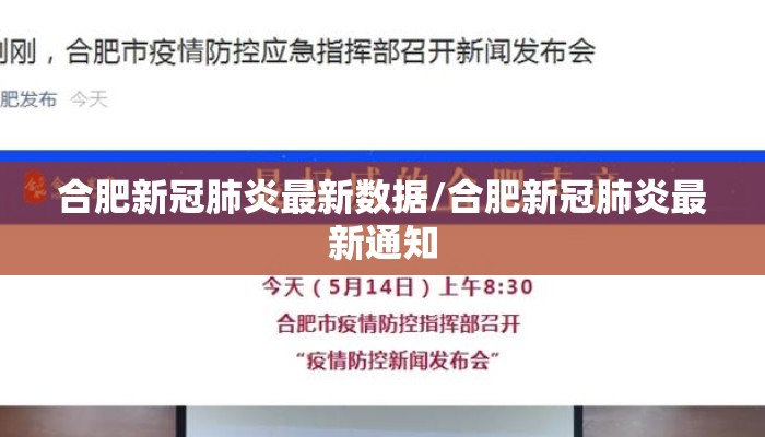 合肥新冠肺炎最新数据/合肥新冠肺炎最新通知
