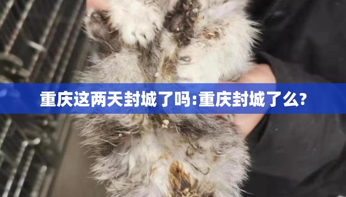 重庆这两天封城了吗:重庆封城了么?