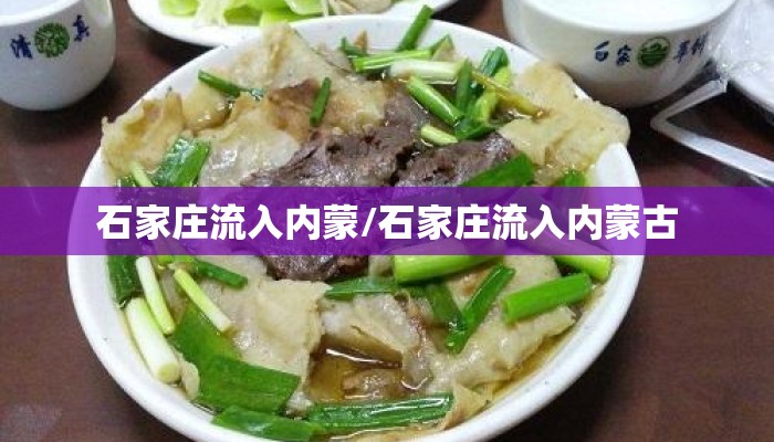 石家庄流入内蒙/石家庄流入内蒙古