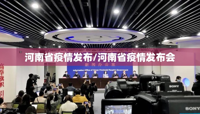 河南省疫情发布/河南省疫情发布会