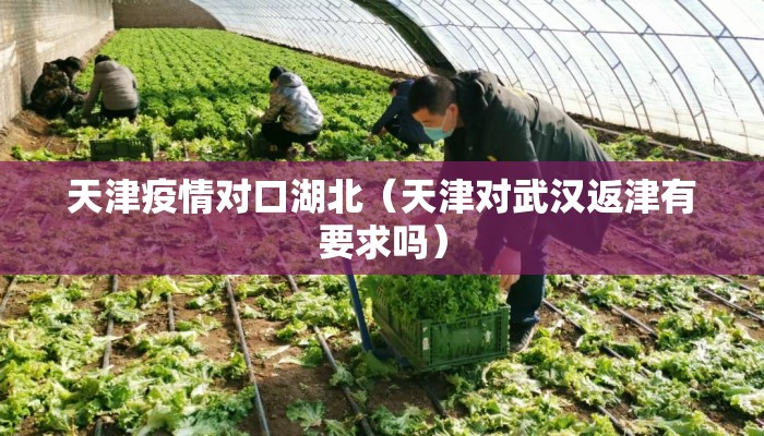 天津疫情对口湖北（天津对武汉返津有要求吗）