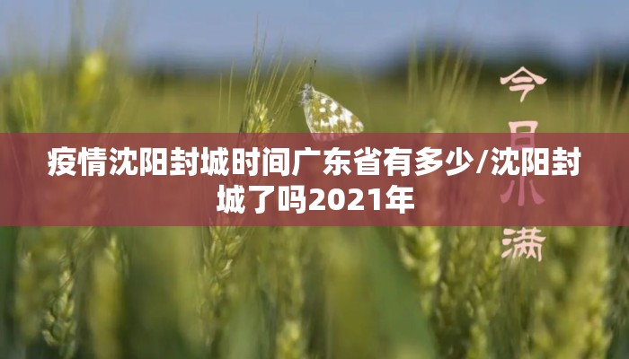 疫情沈阳封城时间广东省有多少/沈阳封城了吗2021年