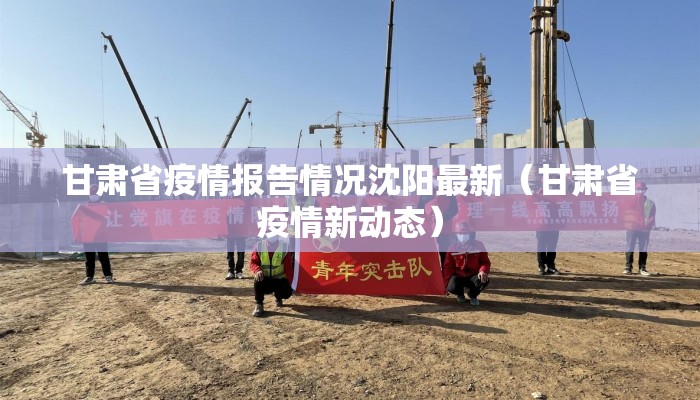 甘肃省疫情报告情况沈阳最新（甘肃省疫情新动态）